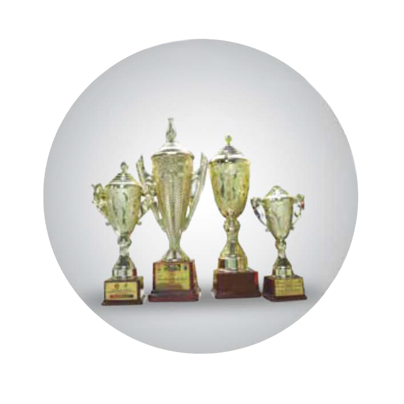 Changing Lives Through Play — Champion